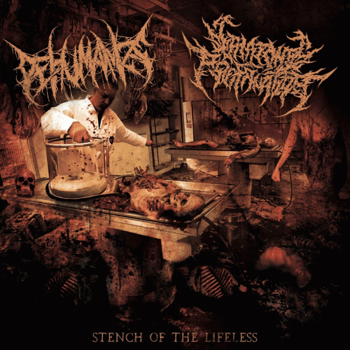 Dehumanize (USA) : Stench of the Lifeless